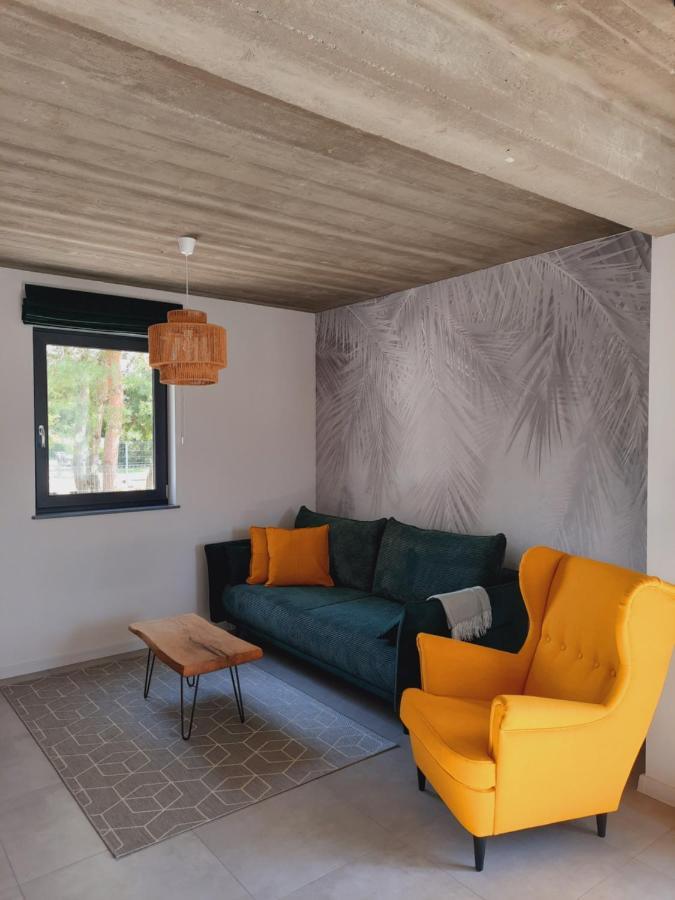 Sosnowe Zacisze Villa Сашино Екстериор снимка