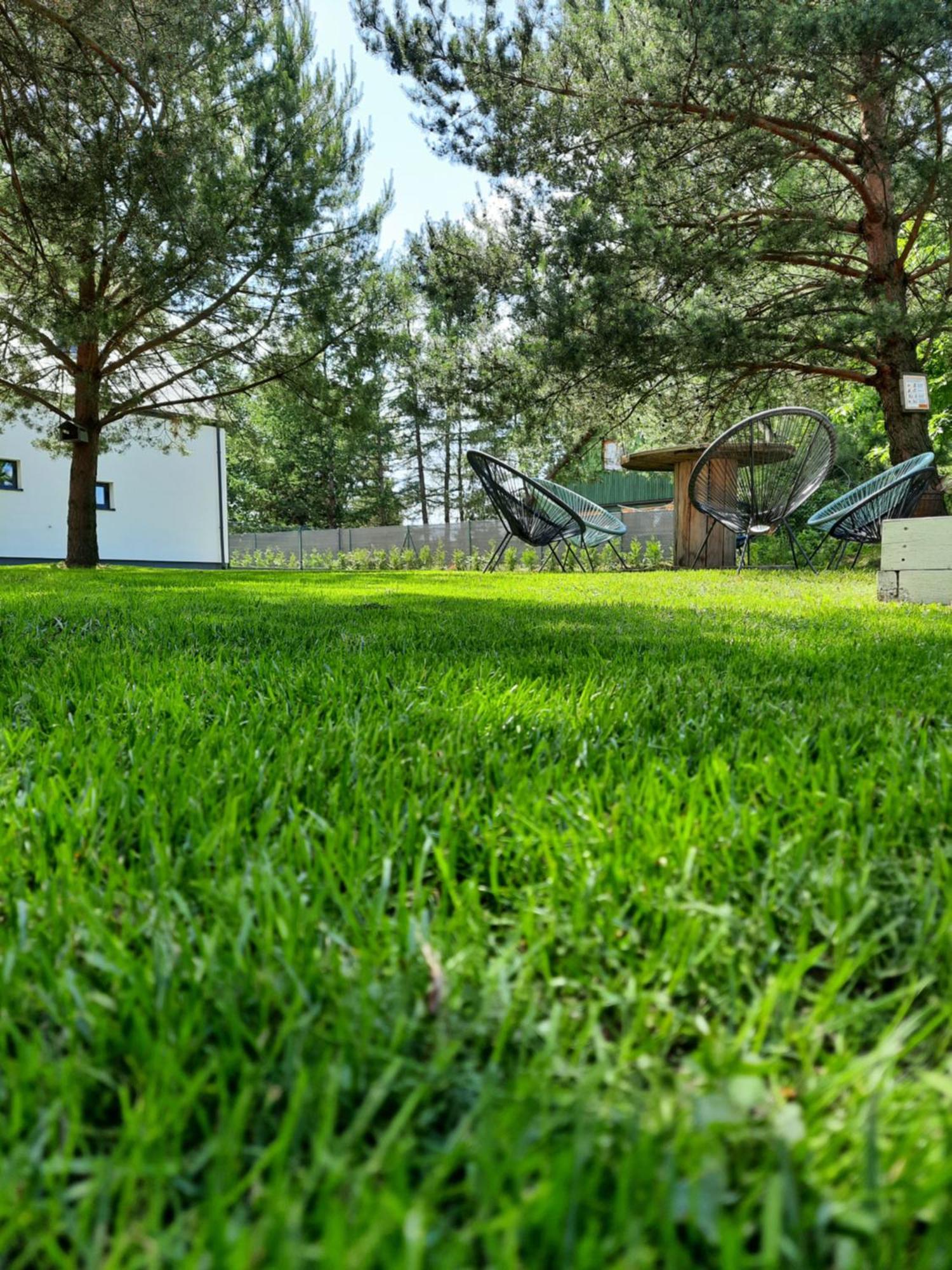 Sosnowe Zacisze Villa Сашино Екстериор снимка