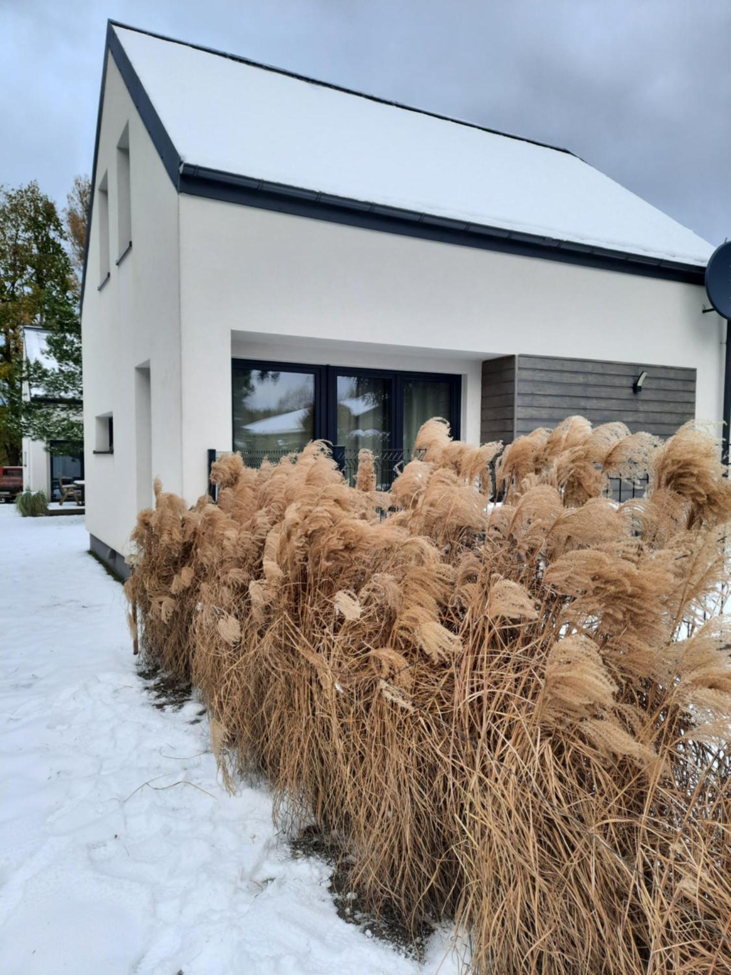 Sosnowe Zacisze Villa Сашино Екстериор снимка
