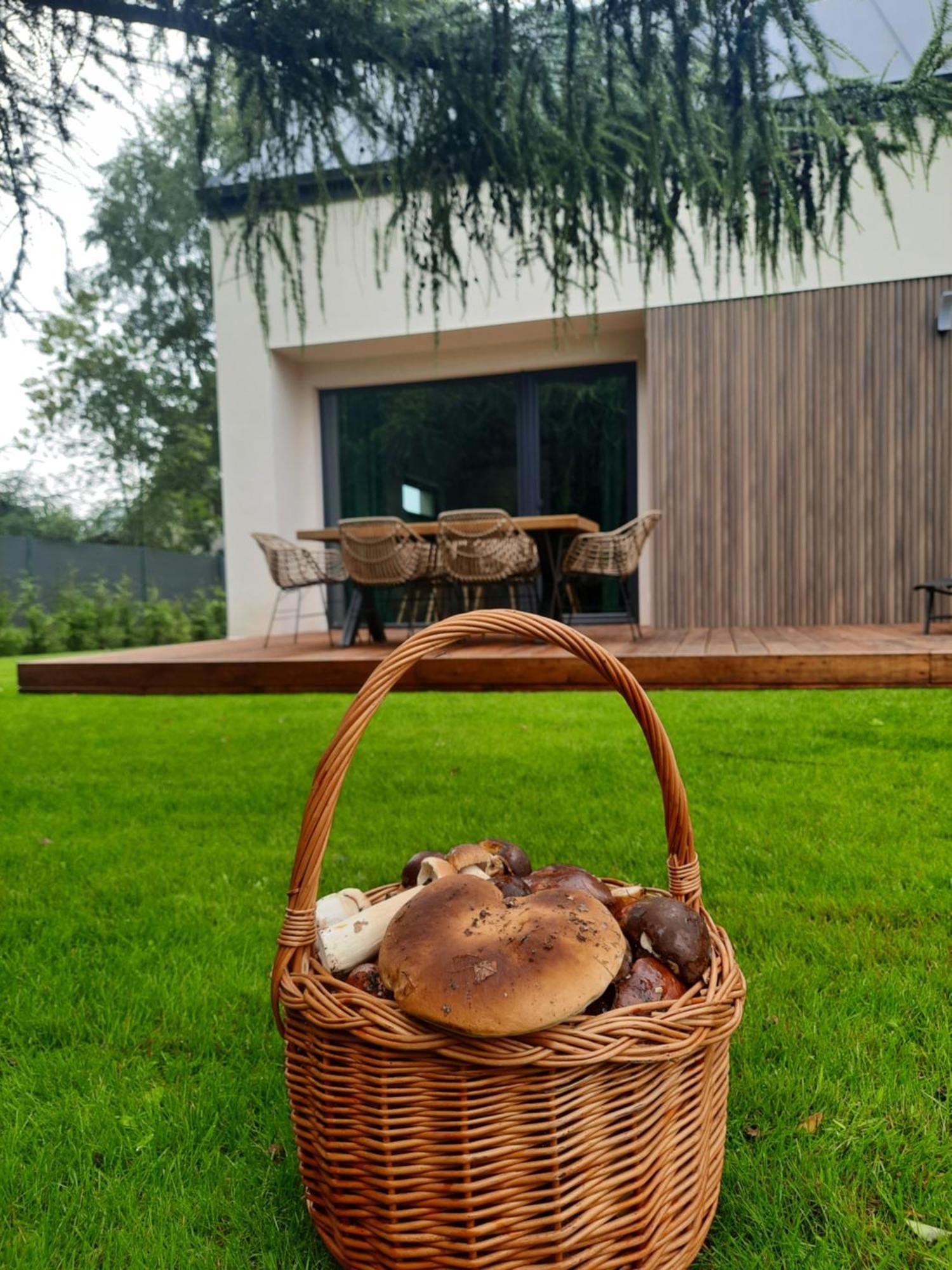 Sosnowe Zacisze Villa Сашино Екстериор снимка