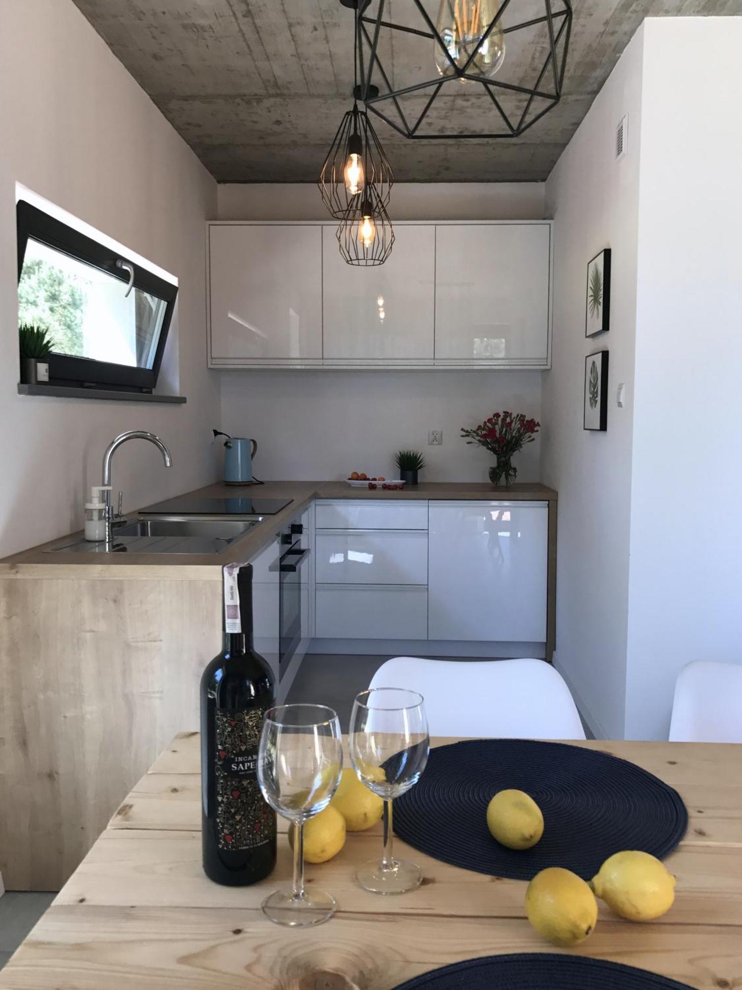 Sosnowe Zacisze Villa Сашино Екстериор снимка