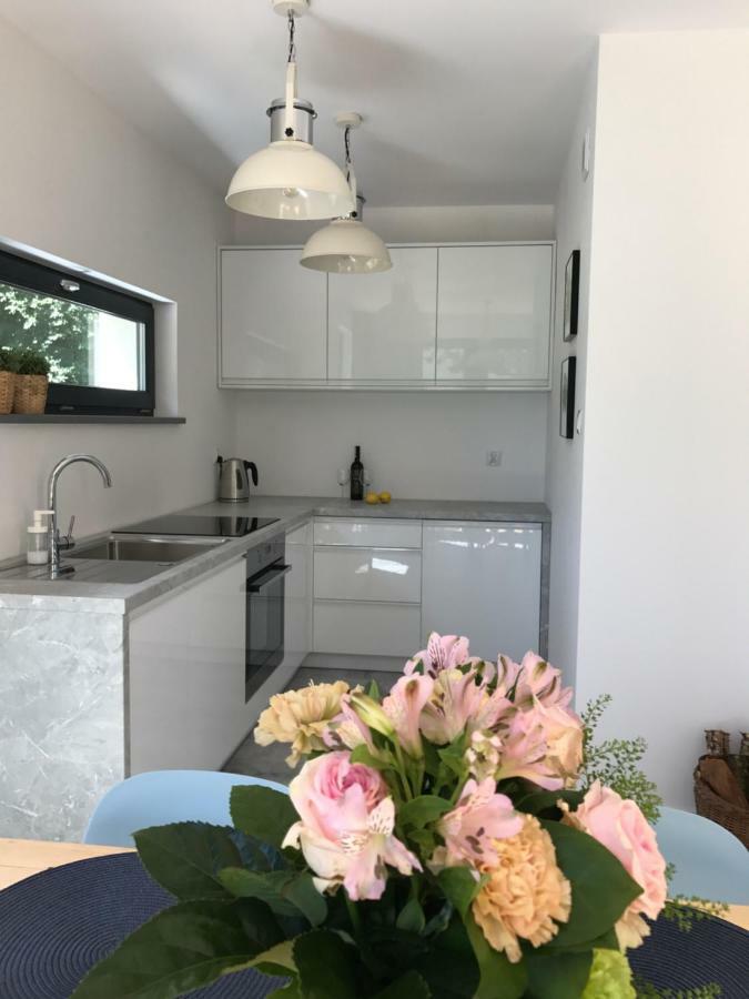 Sosnowe Zacisze Villa Сашино Екстериор снимка