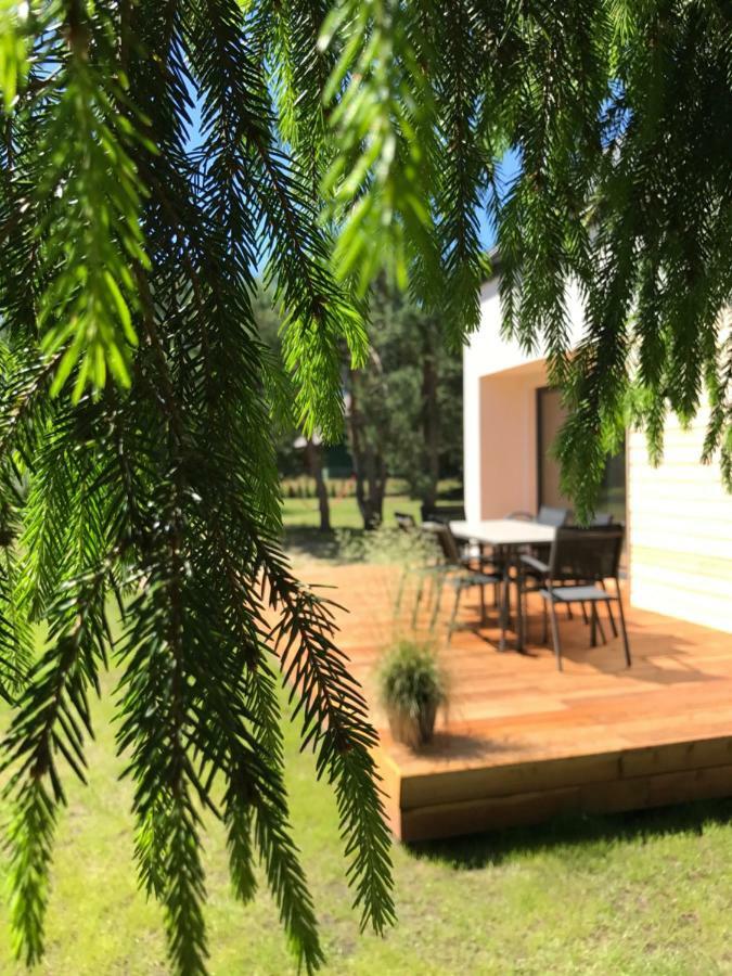 Sosnowe Zacisze Villa Сашино Екстериор снимка
