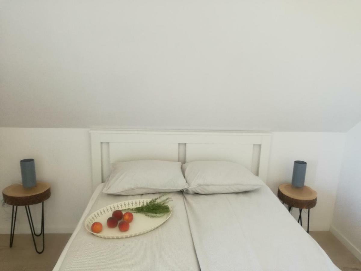 Sosnowe Zacisze Villa Сашино Екстериор снимка